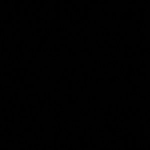 Meet your Posher, Marcellus